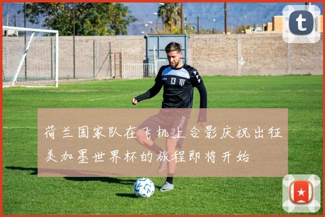 荷兰国家队在飞机上合影庆祝出征美加墨世界杯的旅程即将开始